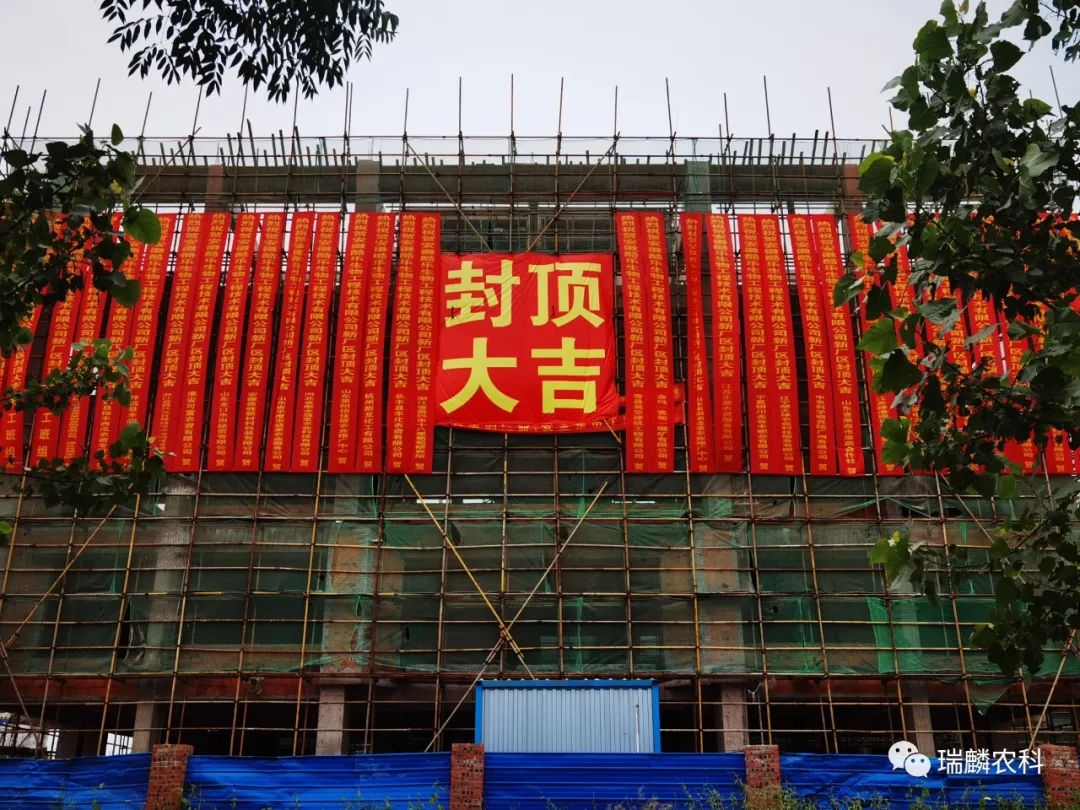 喜迎封顶,共鉴未来,酷乐新厂封顶仪式圆满落幕!